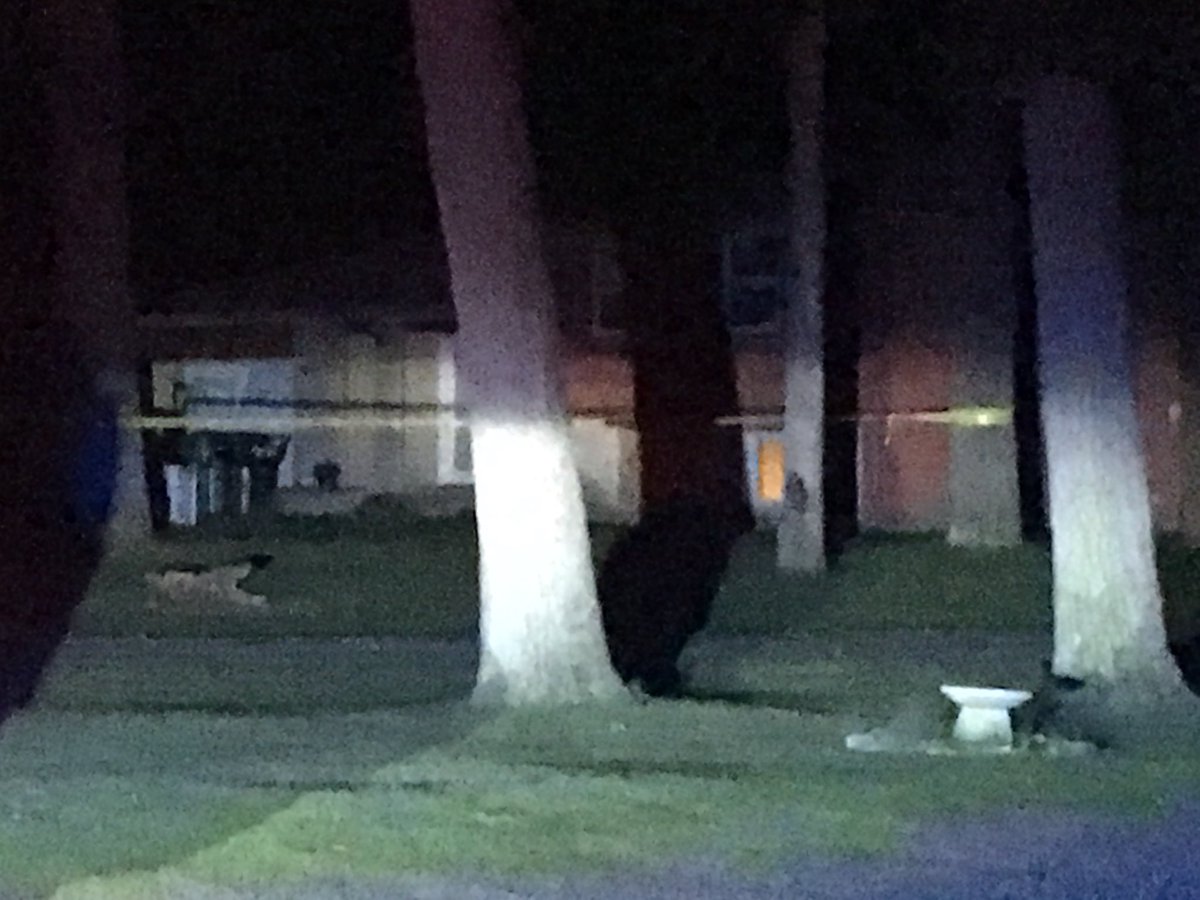 1 male dead after a shooting in St. Joseph County. Call came out as a shooting around 2:10am. Police say there had been a party with a bonfire at that house earlier. Several people being interviewed by investigators. Metro Homicide is investigating   