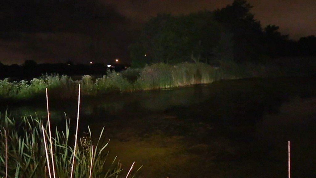 The woman has been identified to the Lake County (Ind.) Coroner's Office as Shanice Black of Gary, Ind.