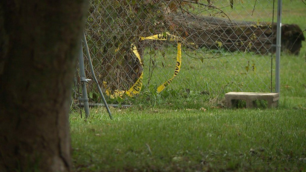 Police investigate death of toddler in Elwood    
