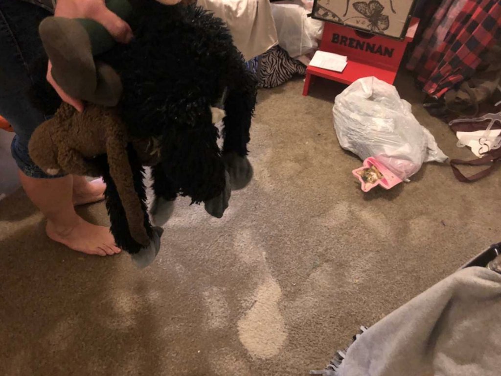 Bloomington homes damaged by flood waters    